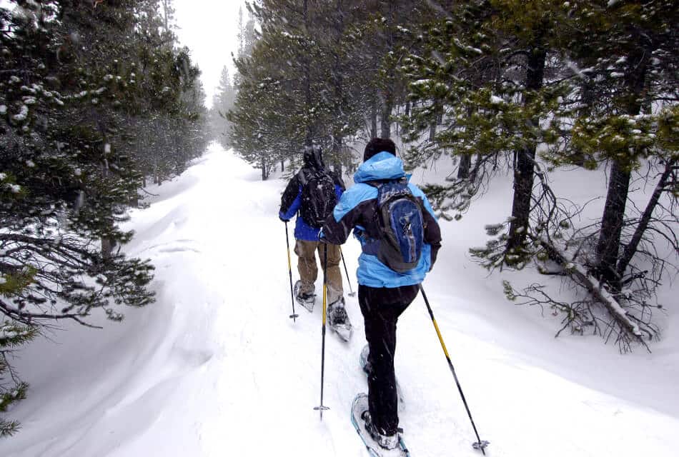 a couple snow shoeing through snow covered trails with trees on either side of them.