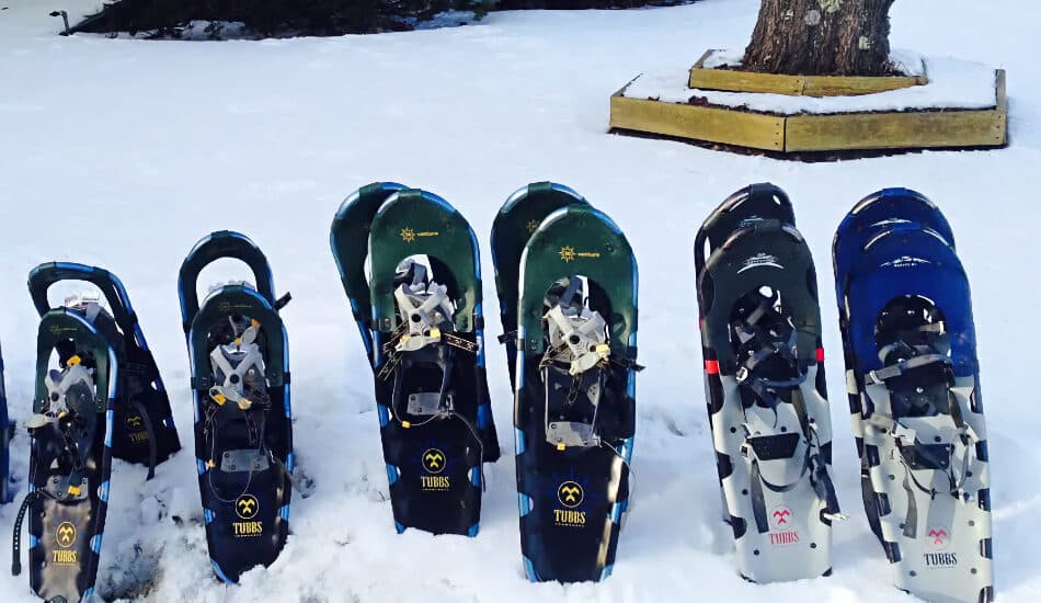 3 sets of snowshoes propped up in the snow