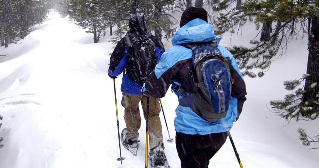 Two people snowshoeing through snow covered trails in the woods.