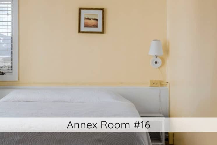 A bedroom with yellow walls, a bed with white bedding, small nightstands on either side of the, a vase of flowers on one of the nightstands, and a lamp on the wall above the other nightstand, with a tall narrow window. Titled Annex Room #16.