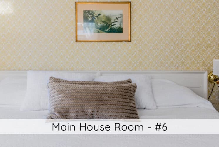 A bedroom with yellow and white wallpaper, a bed with a white headboard, white bedding with brown accent pillows, lamps on the wall on either side of the bed, small shelves next to either side of the bed with blue vases, and a picture of flying ducks on the wall. Titled Main House Room #6.