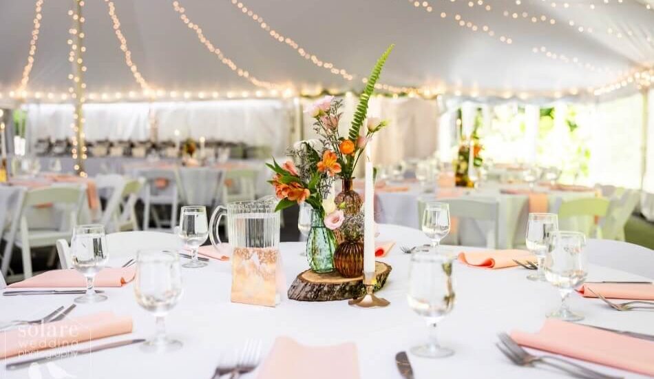 A reception with tables and chairs with white table cloths and pink napkins, silverware, flowers and water glasses on the table, in a white tent with twinkle lights on the roof of the tent and poles.